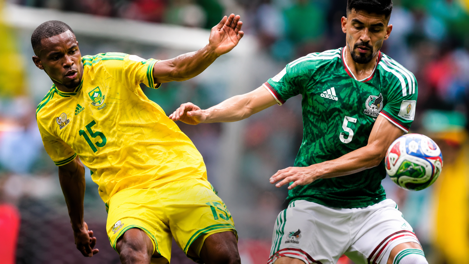 Bafana Bafana World Cup Defeat